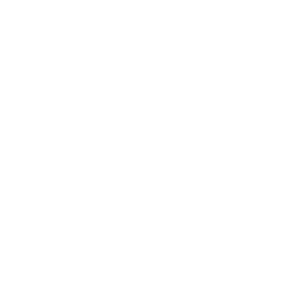 naffasy logo